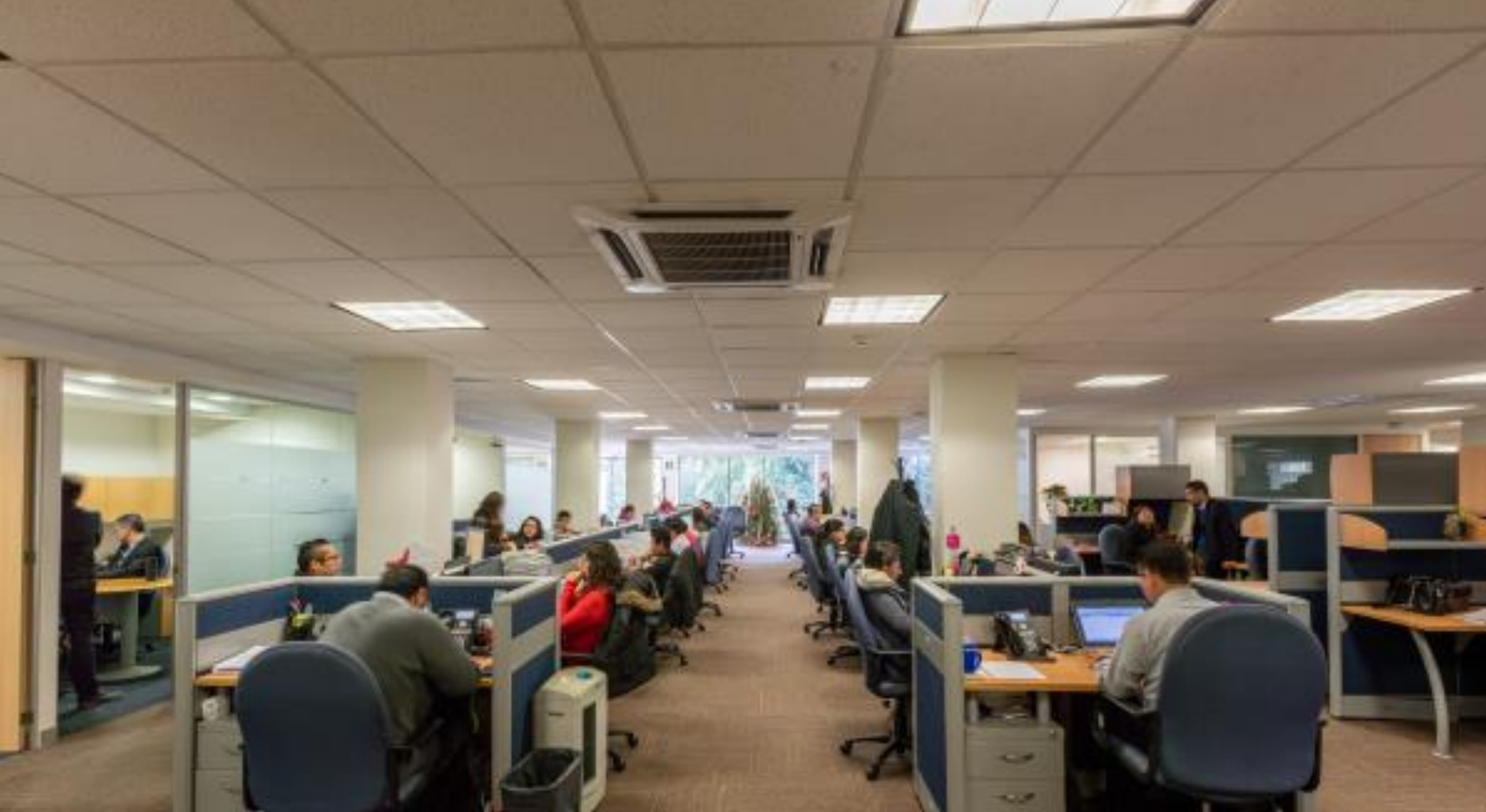 Renta oficina acondicionada 693 m2