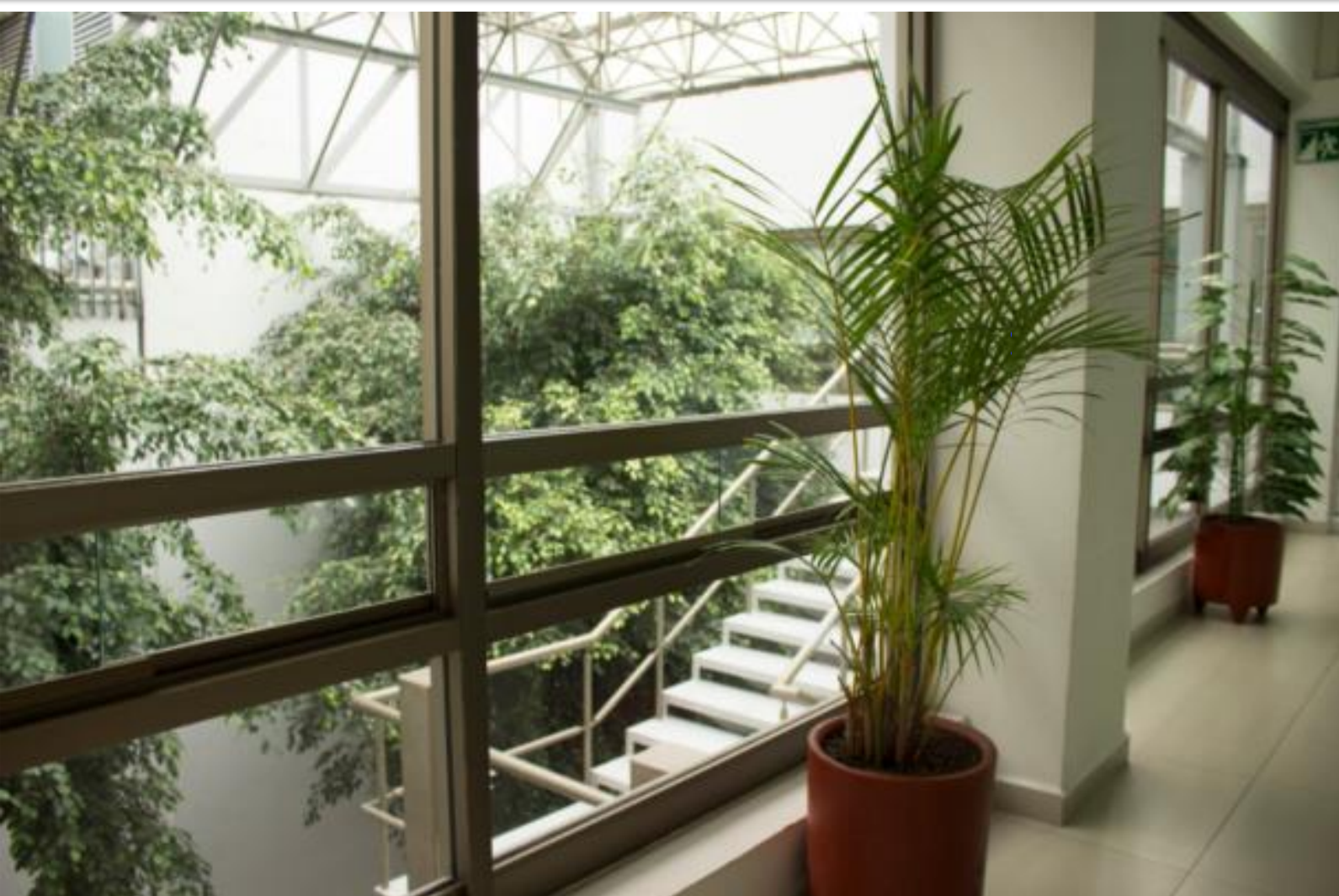 Renta oficina acondicionada 693 m2